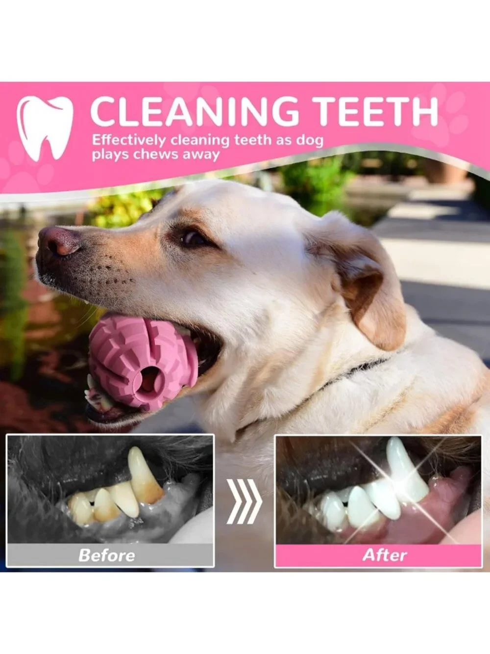 Indestructible Dog Toys for Aggressive Chewers - Large Breed Interactive Treats